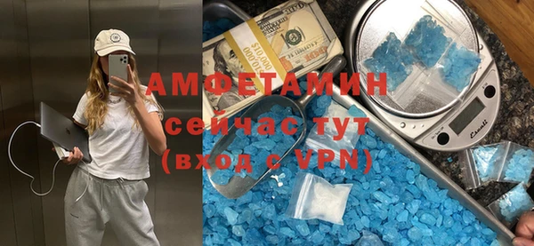 гидра Вяземский